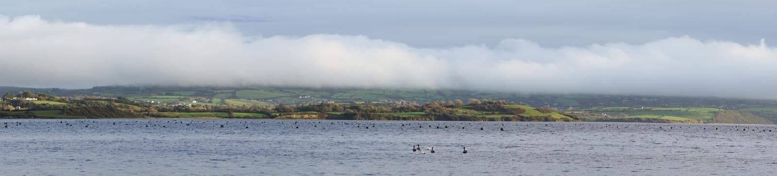 View from the front window