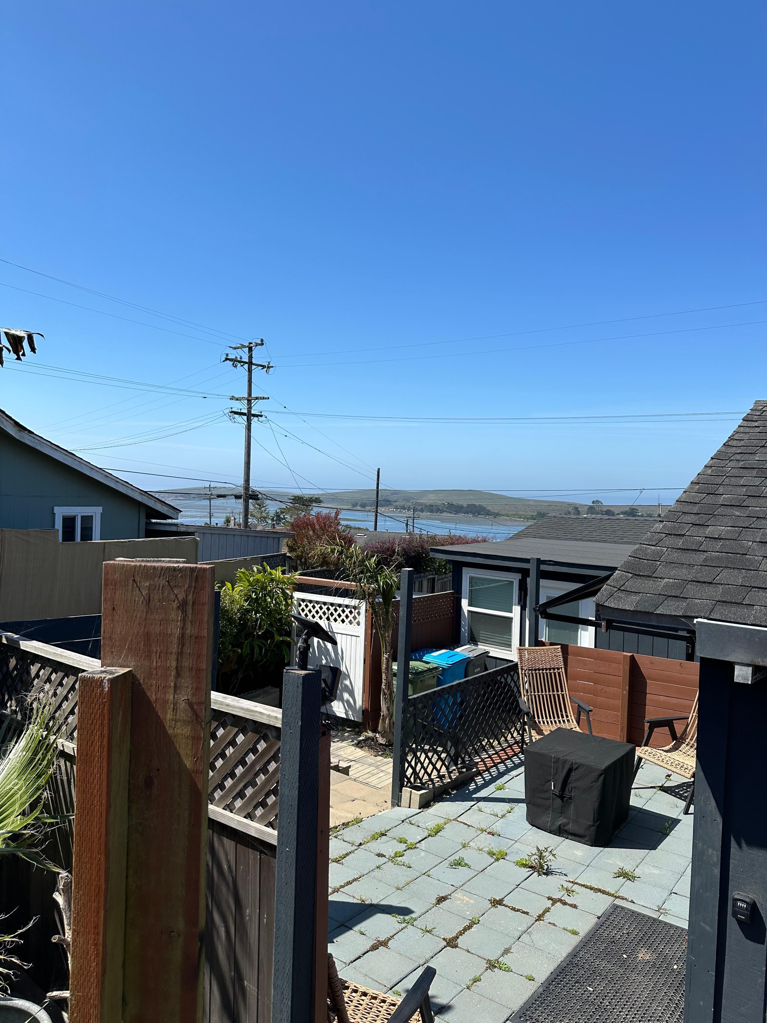 View from out back. Fenced and (good) dog friendly 
