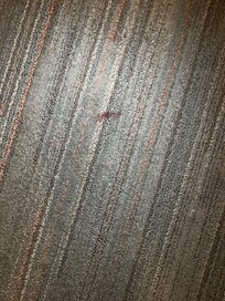 Blood stain or something else?