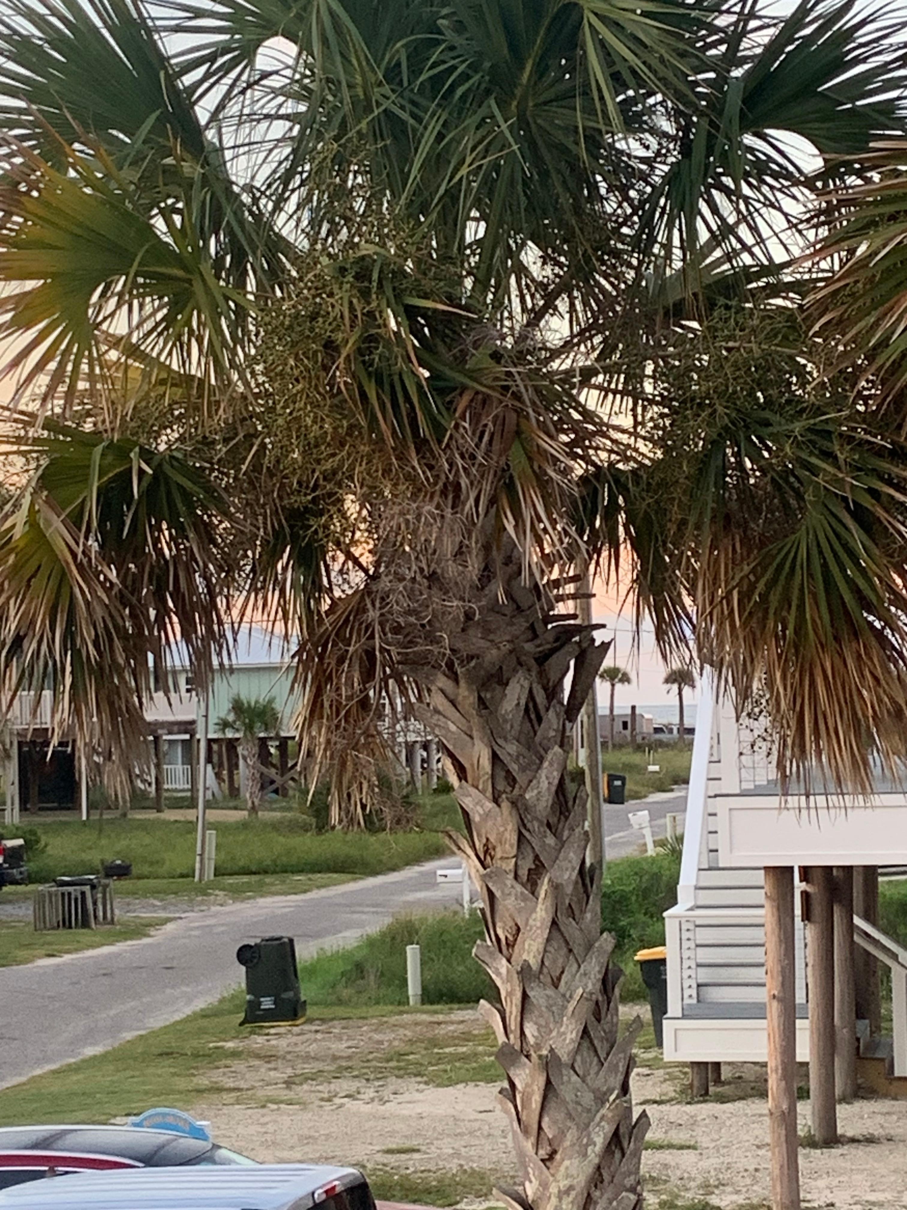 Front deck view of Gulf