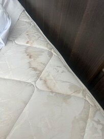 Stained mattress and there were many more pics I already deleted