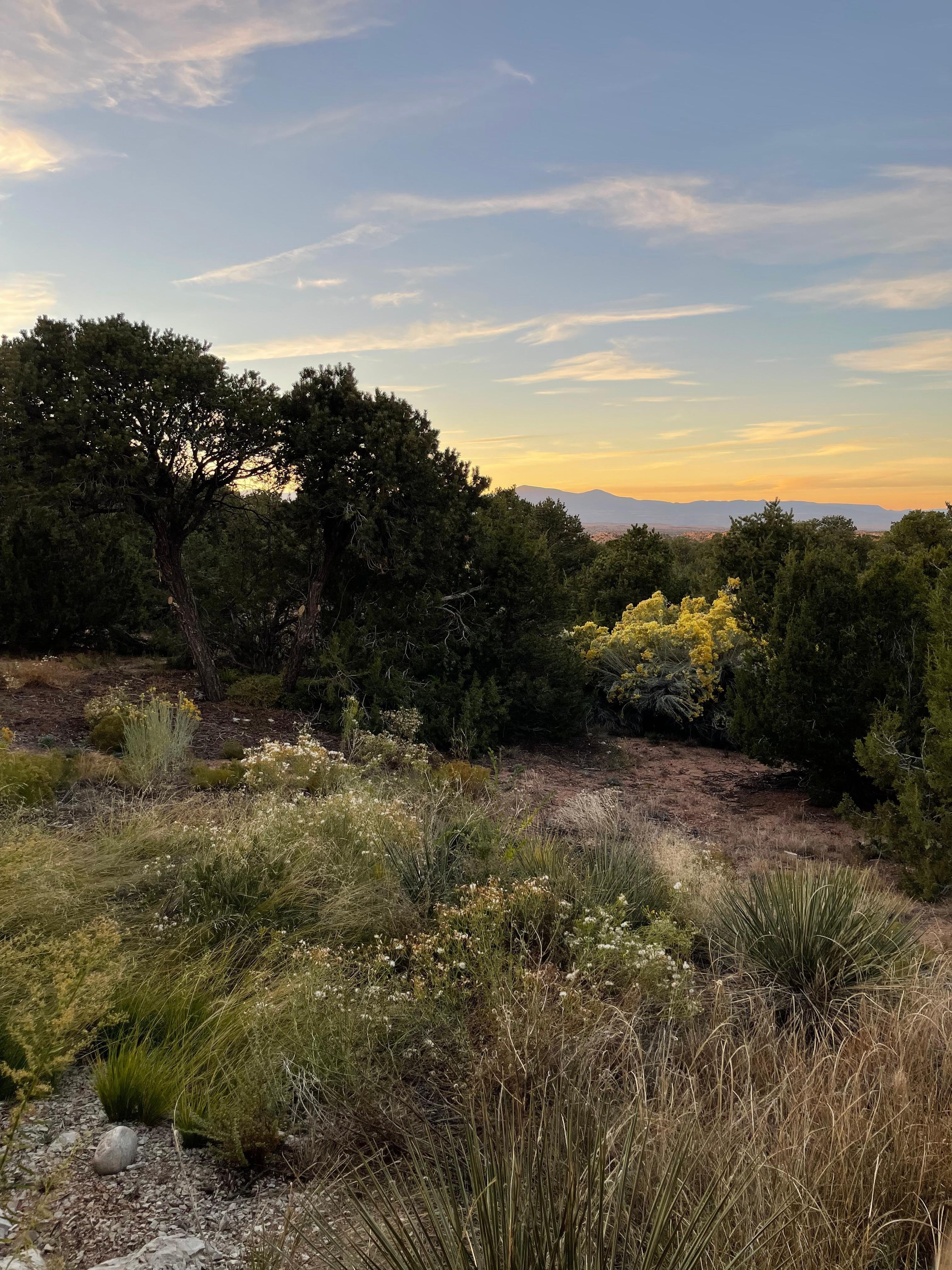 View of Santa Fe taken by sticking camera through the fence