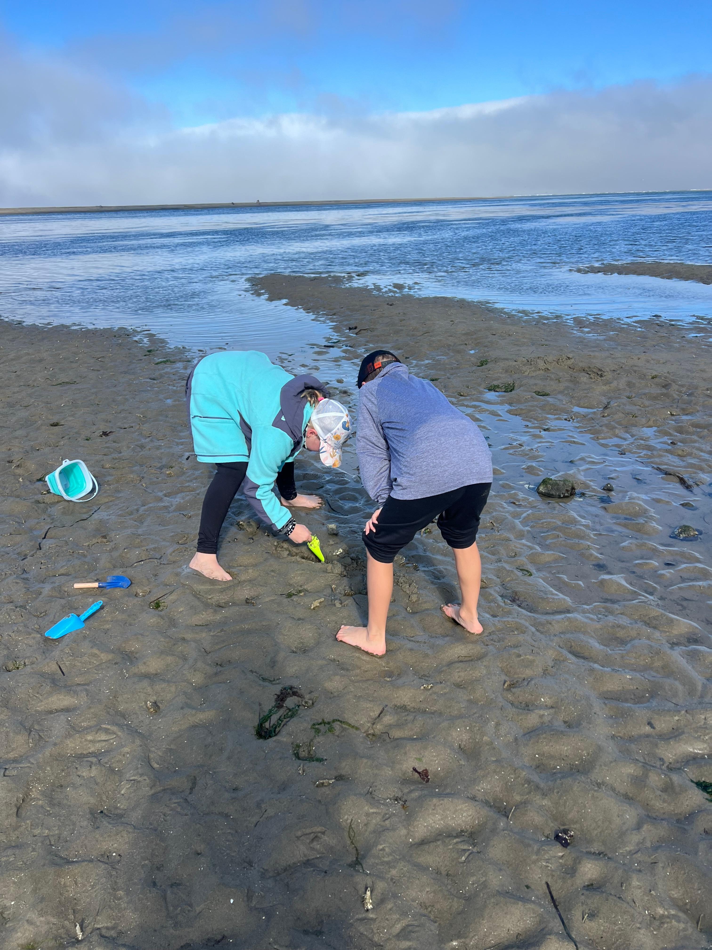 Clamming at low tide- they really do spit 😂