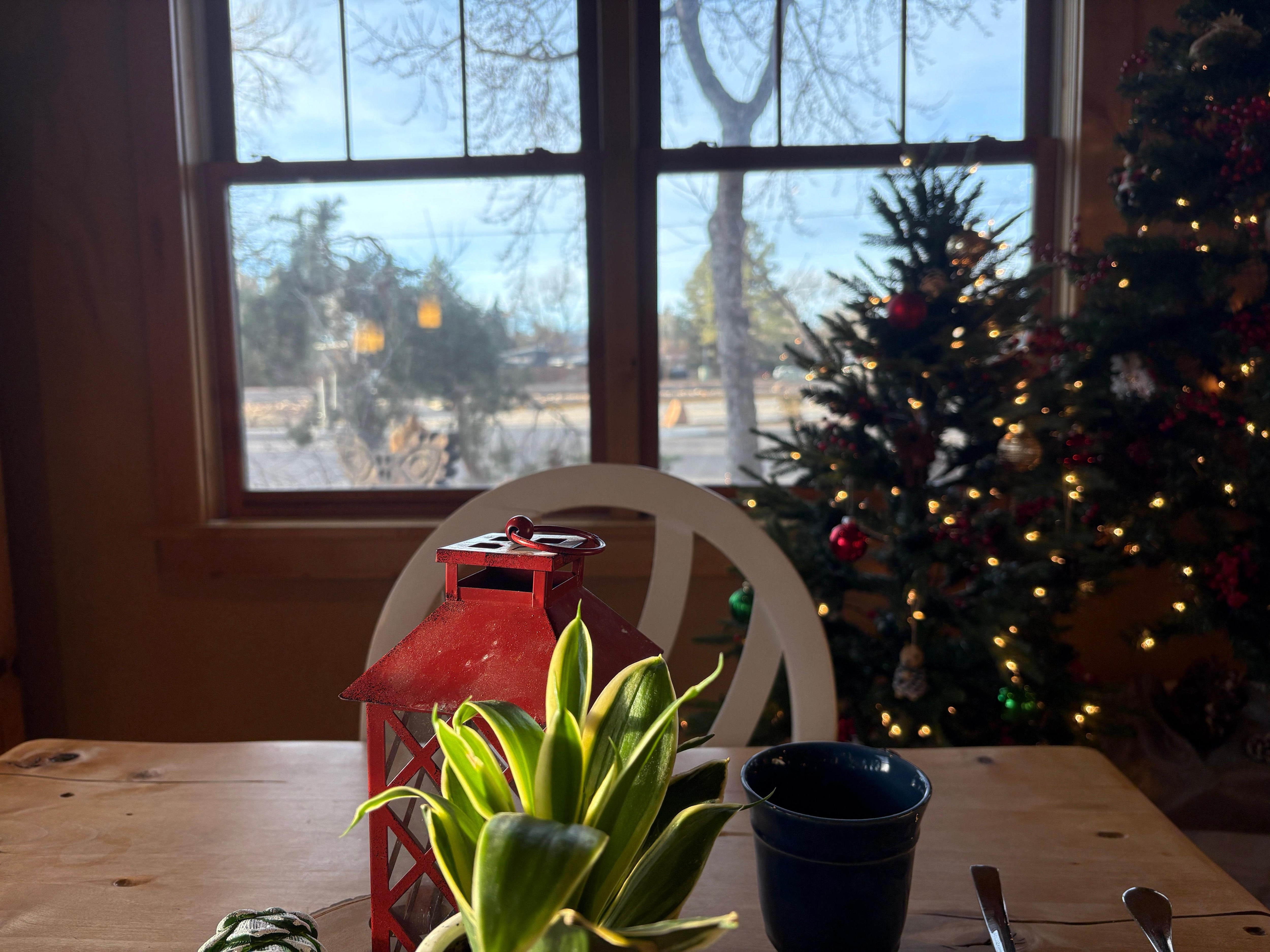 A view from their lounge where breakfast is served.