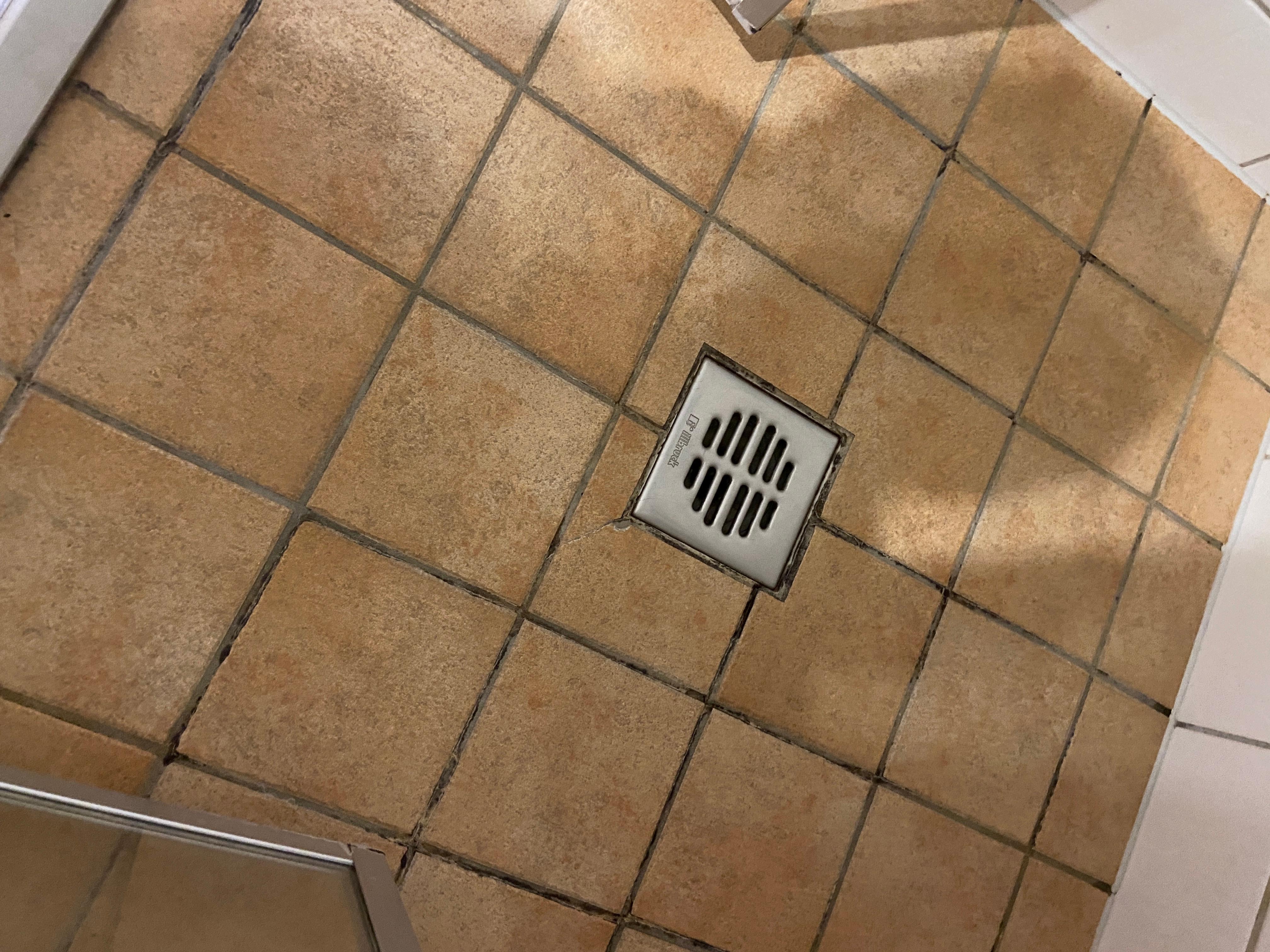 Verschimmelte, ausgewaschene Fugen im Boden der Dusche