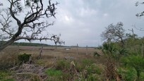 View from the property out into the preserve