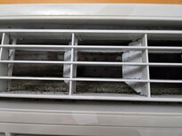 Moldy unit in the living room/kitchen