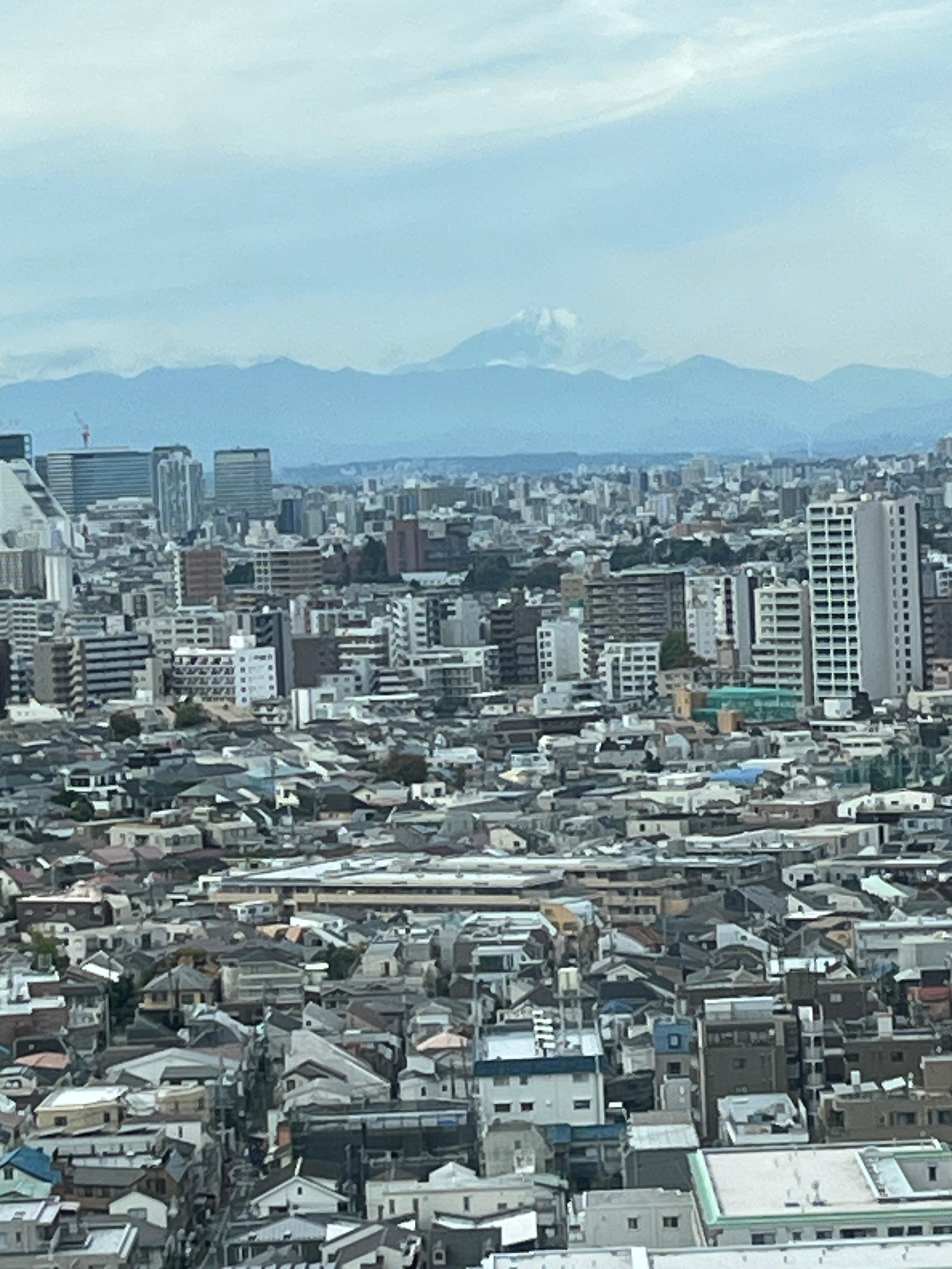Can see Mt Fuji on fine days