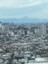 Can see Mt Fuji on fine days