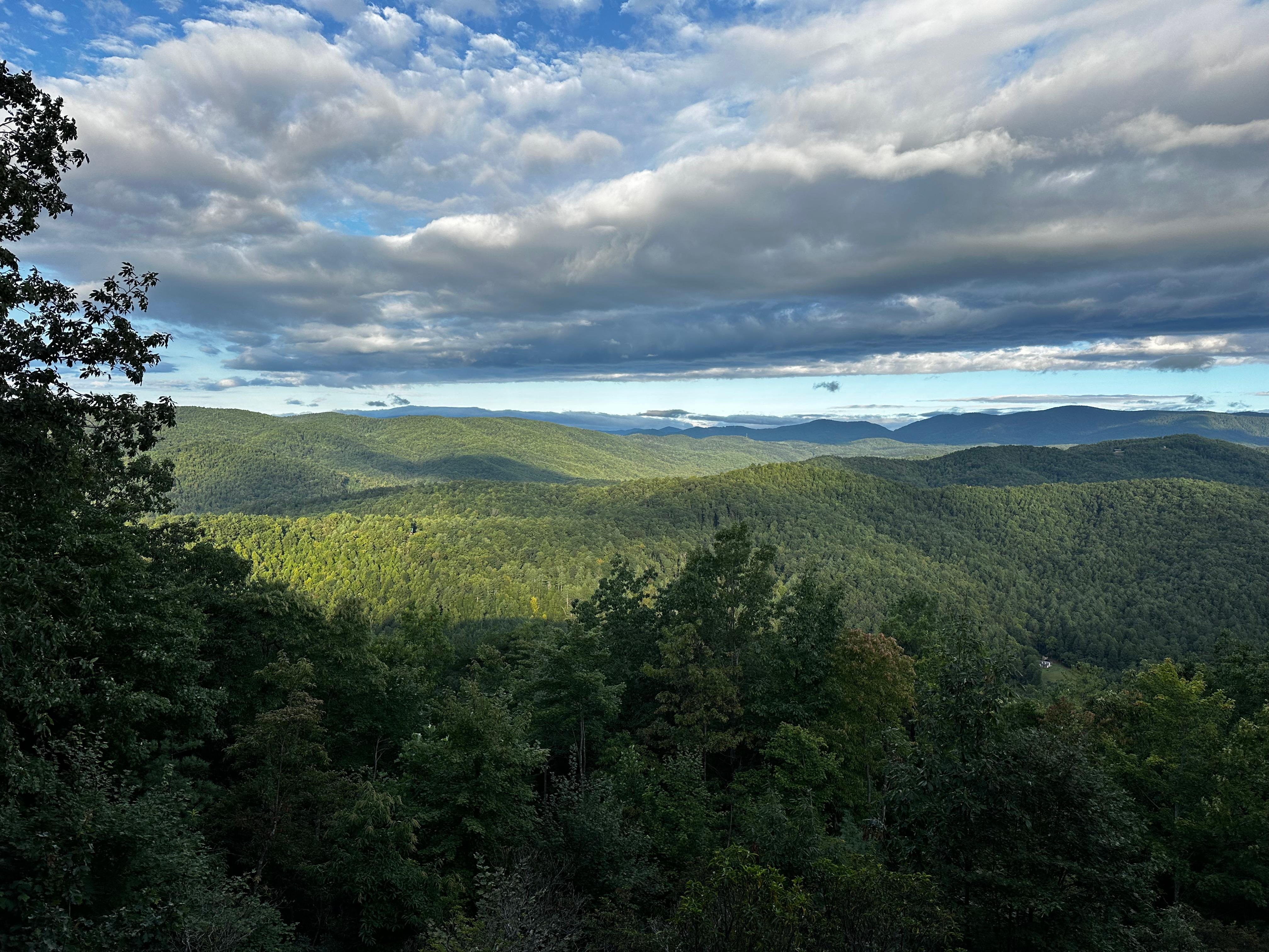 Morning view from deck