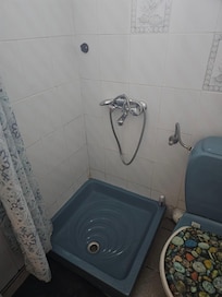 Shower tray and toilet