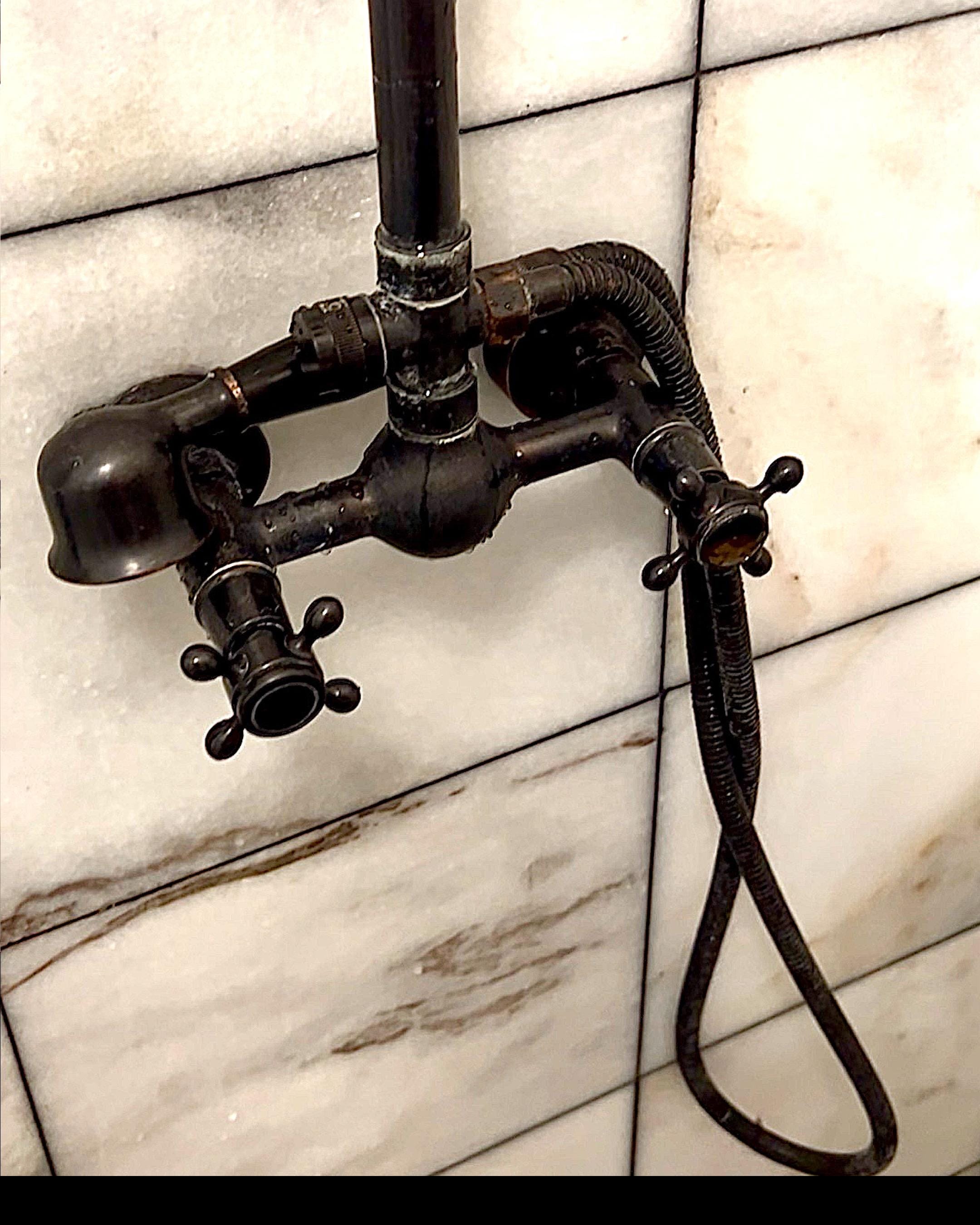 Broken shower head and faucet. It is also disgustingly filthy. It leaks and  drips nonstop. Along with being rusted. Also no hot water came out of this broken shower for our entire stay!