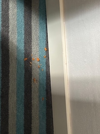 Chipskrümel am Teppich