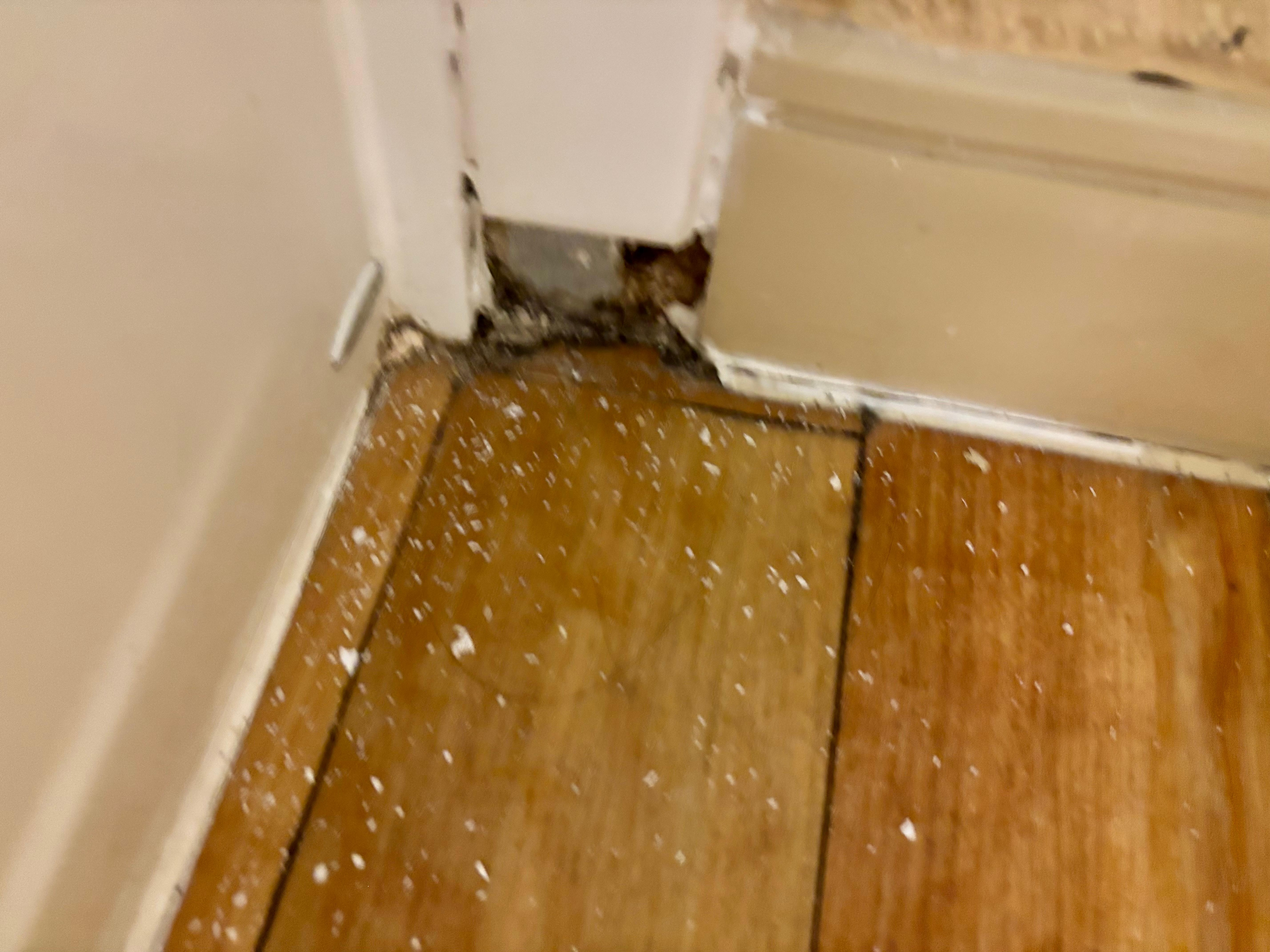 Missing molding tile. 