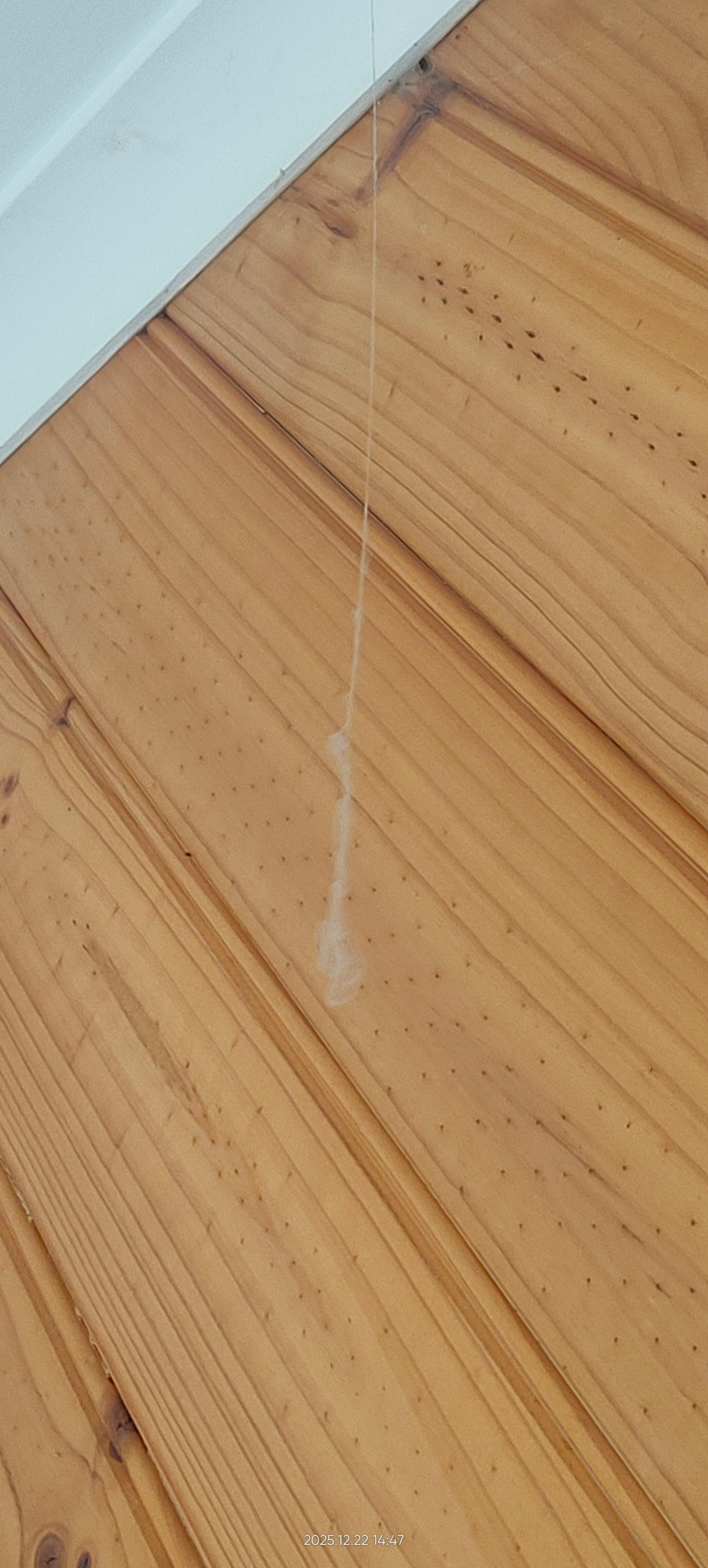 Long cobwebs hanging from the ceiling, have not been cleaned in a long time 