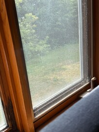 Windows have not been cleaned in some time