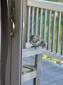 Friend came to visit