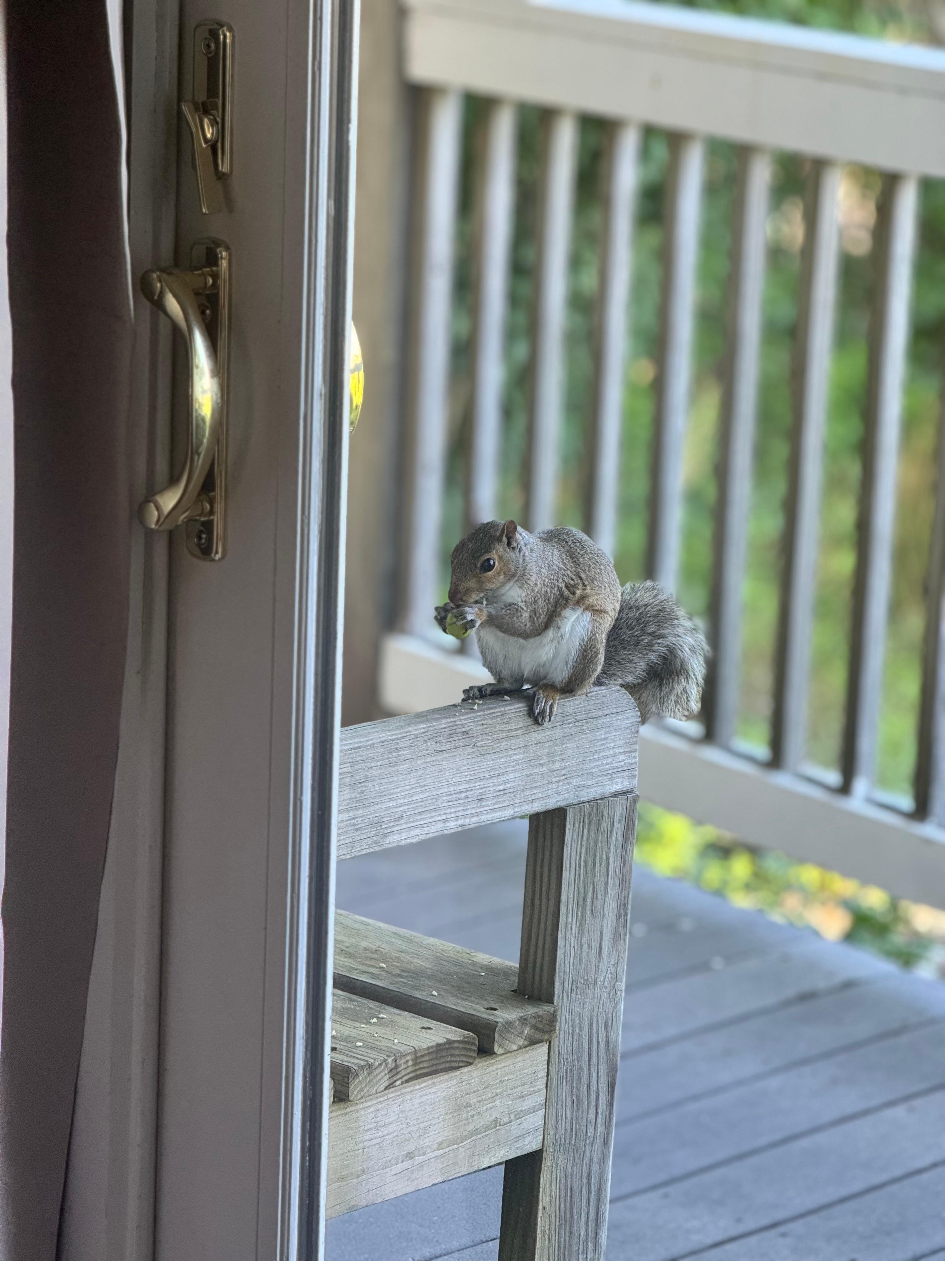 Friend came to visit