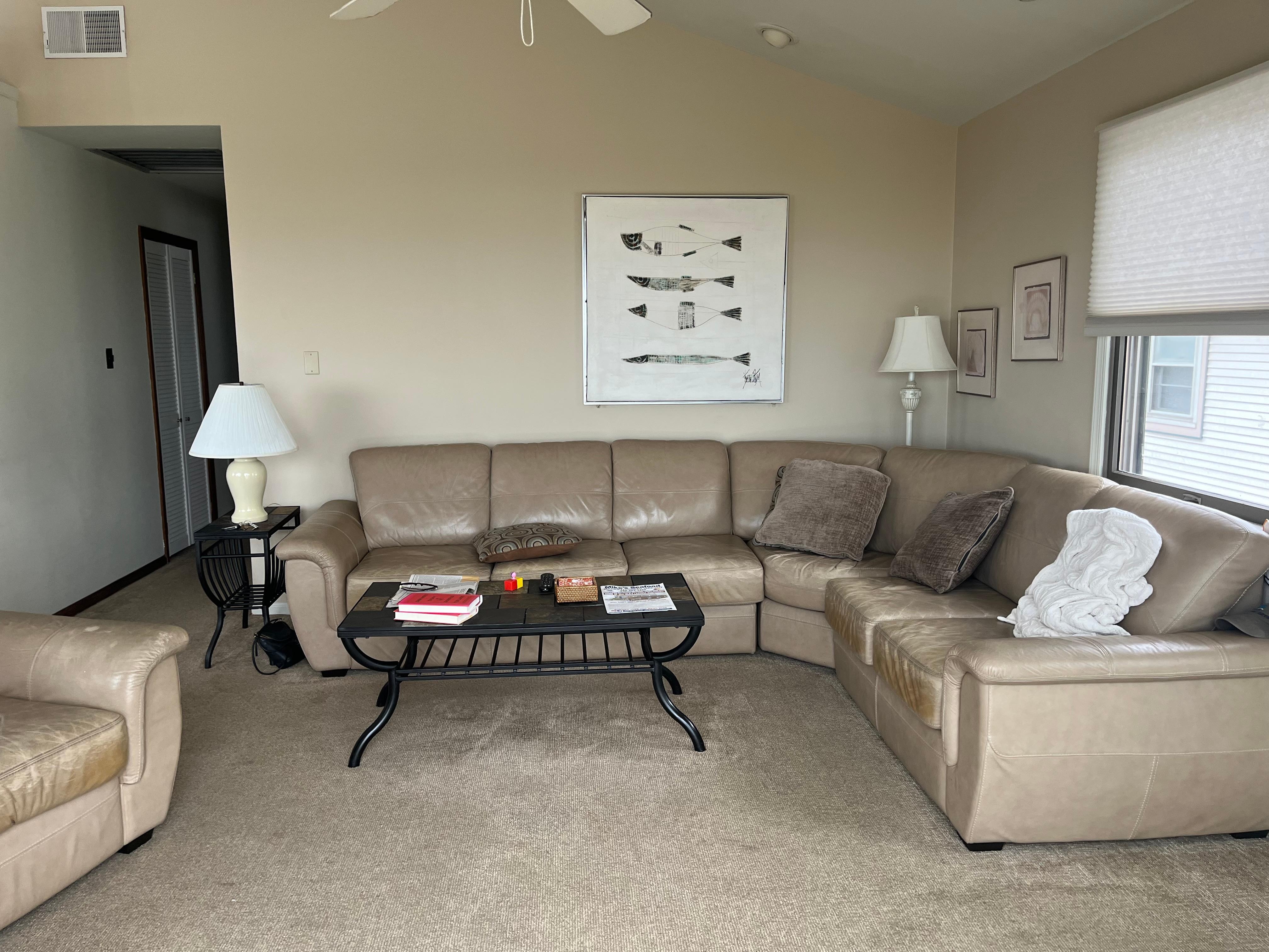  The comfortable living room