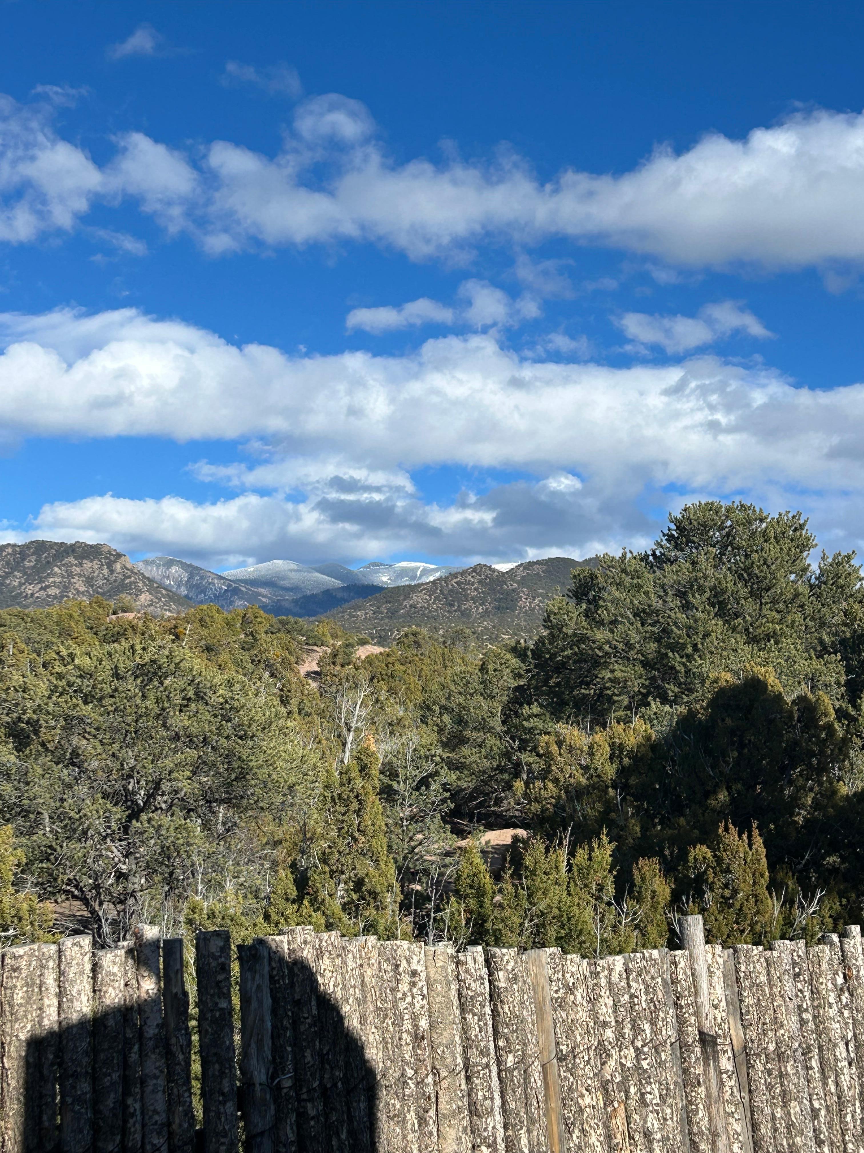View from the back patio