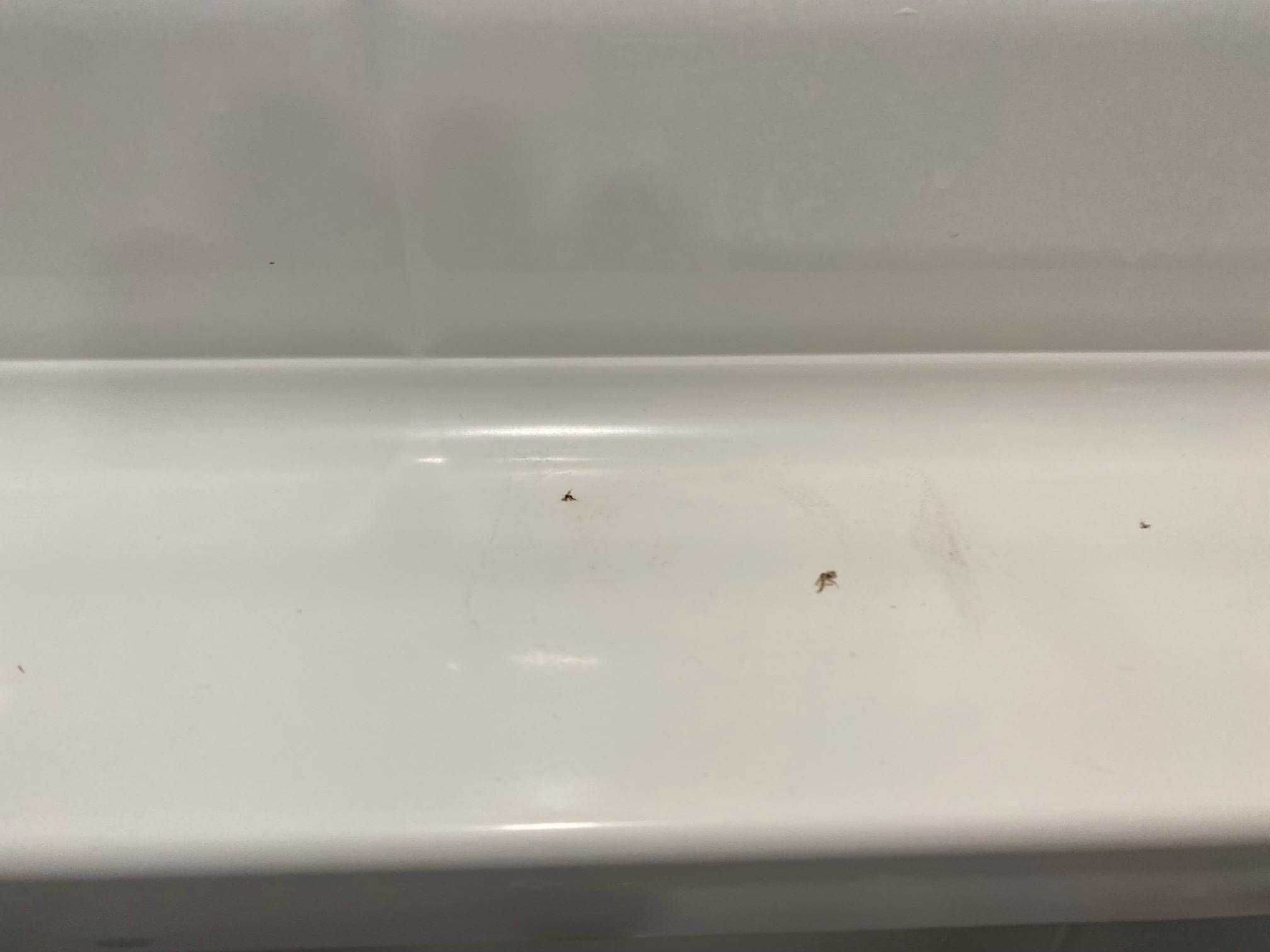 Dirty bathtub