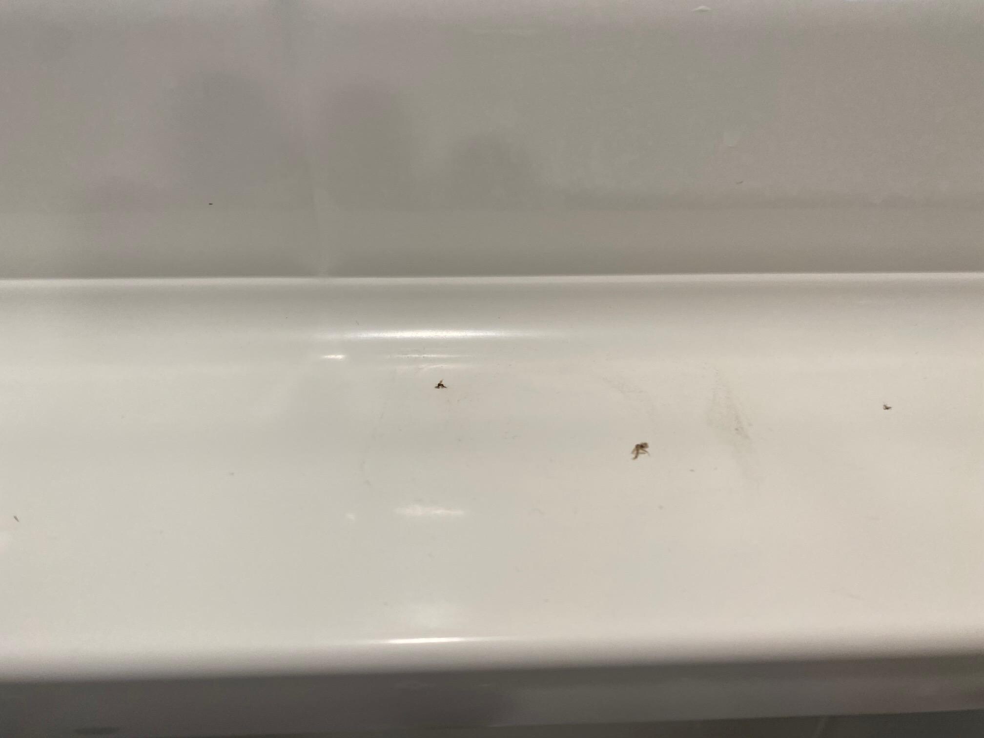 Dirty bathtub