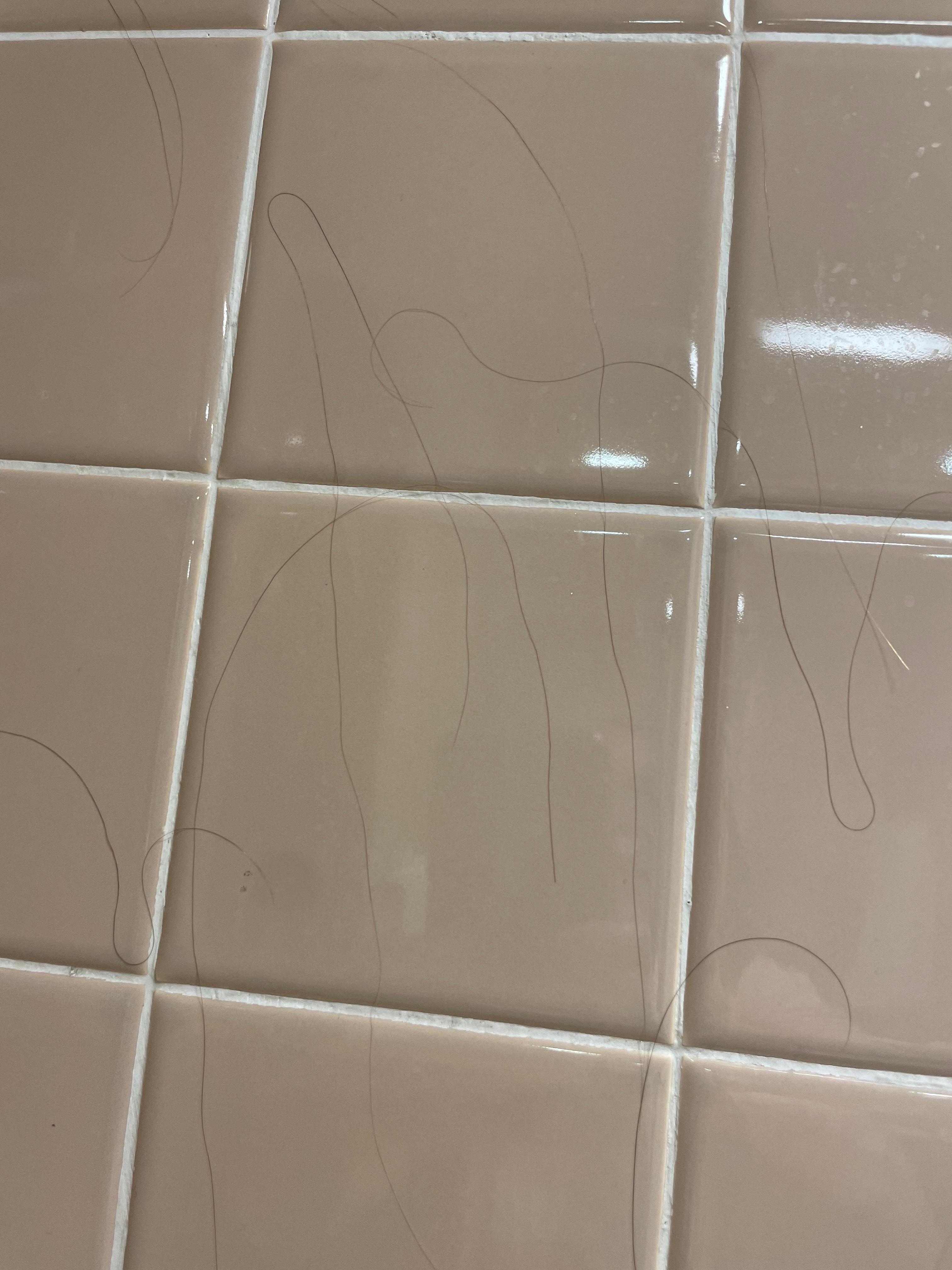 Long black hair all over shower wall and on the bed. 