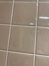 Long black hair all over shower wall and on the bed.