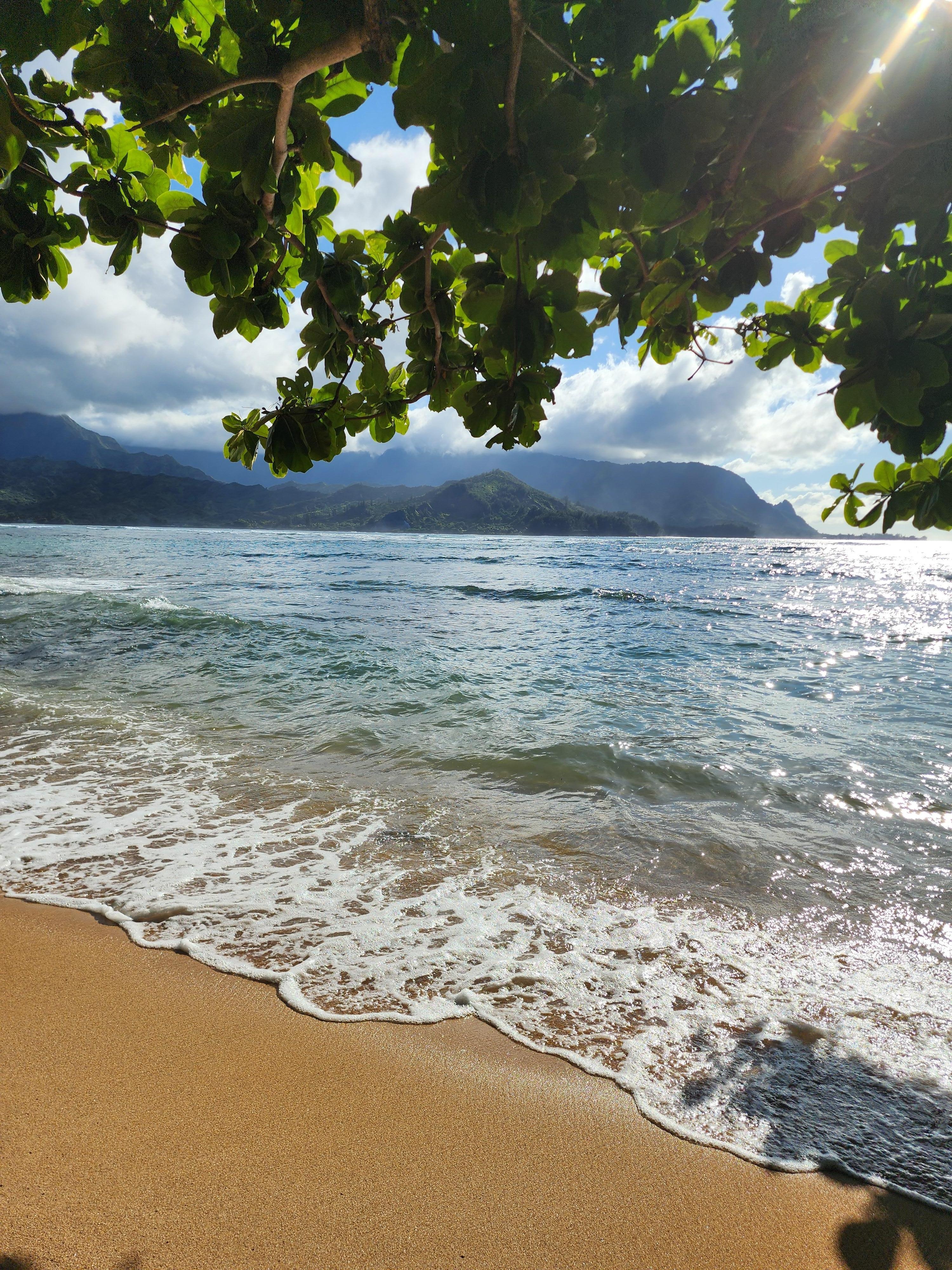 The goegeous beach within walking distance