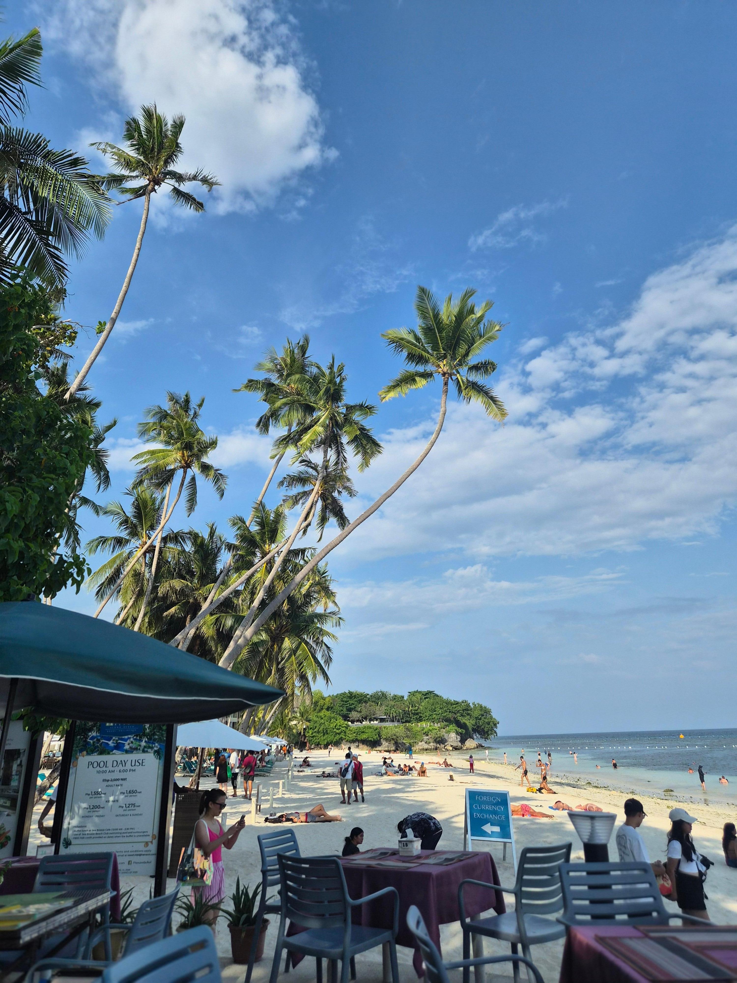 Beautiful view from the front of the Hotel.