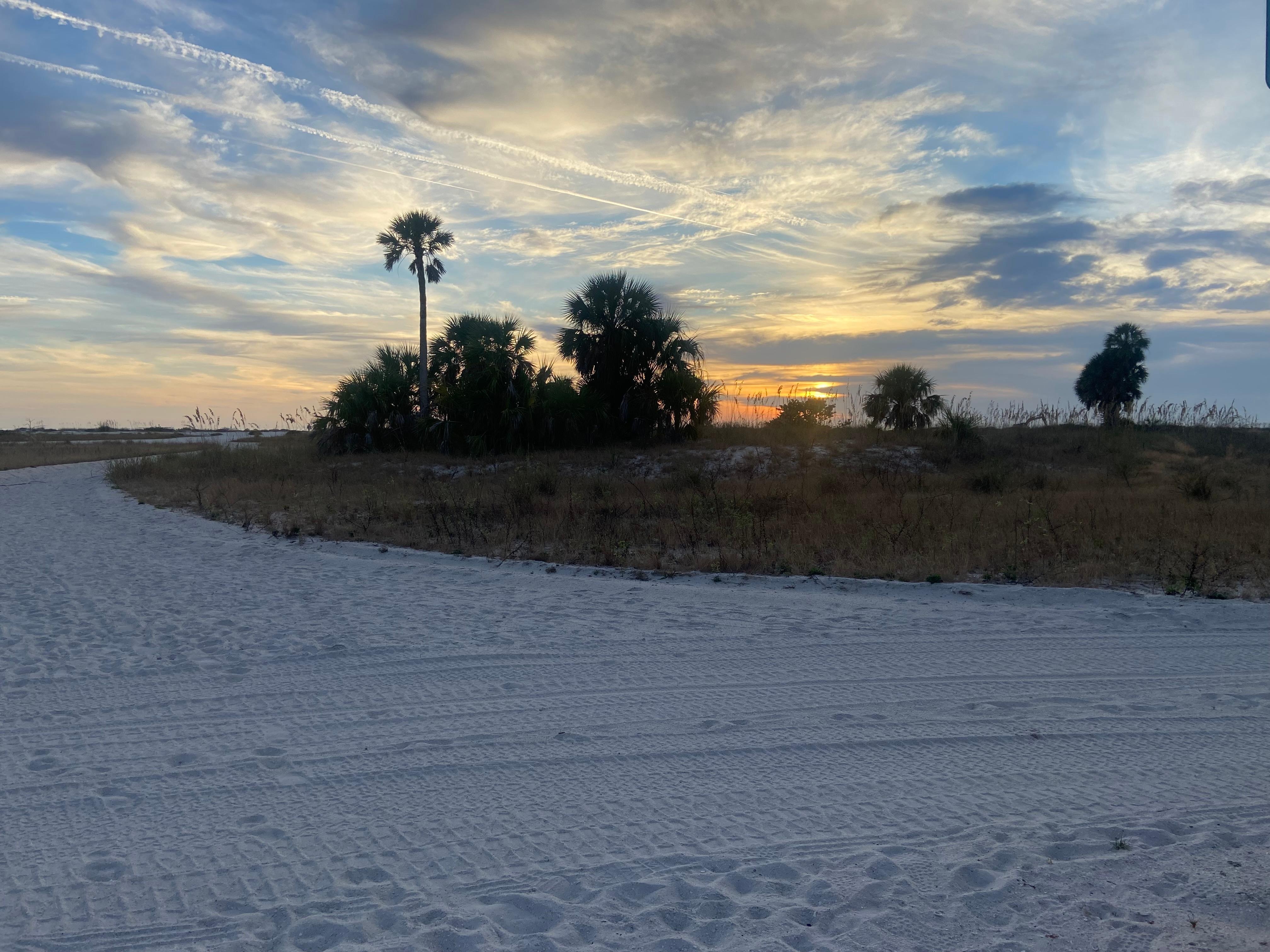 Sunsets are incredible 