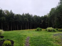 Woods behind the house with marked trails.