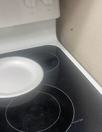 Roach in kitchen beside stove