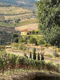 The estate