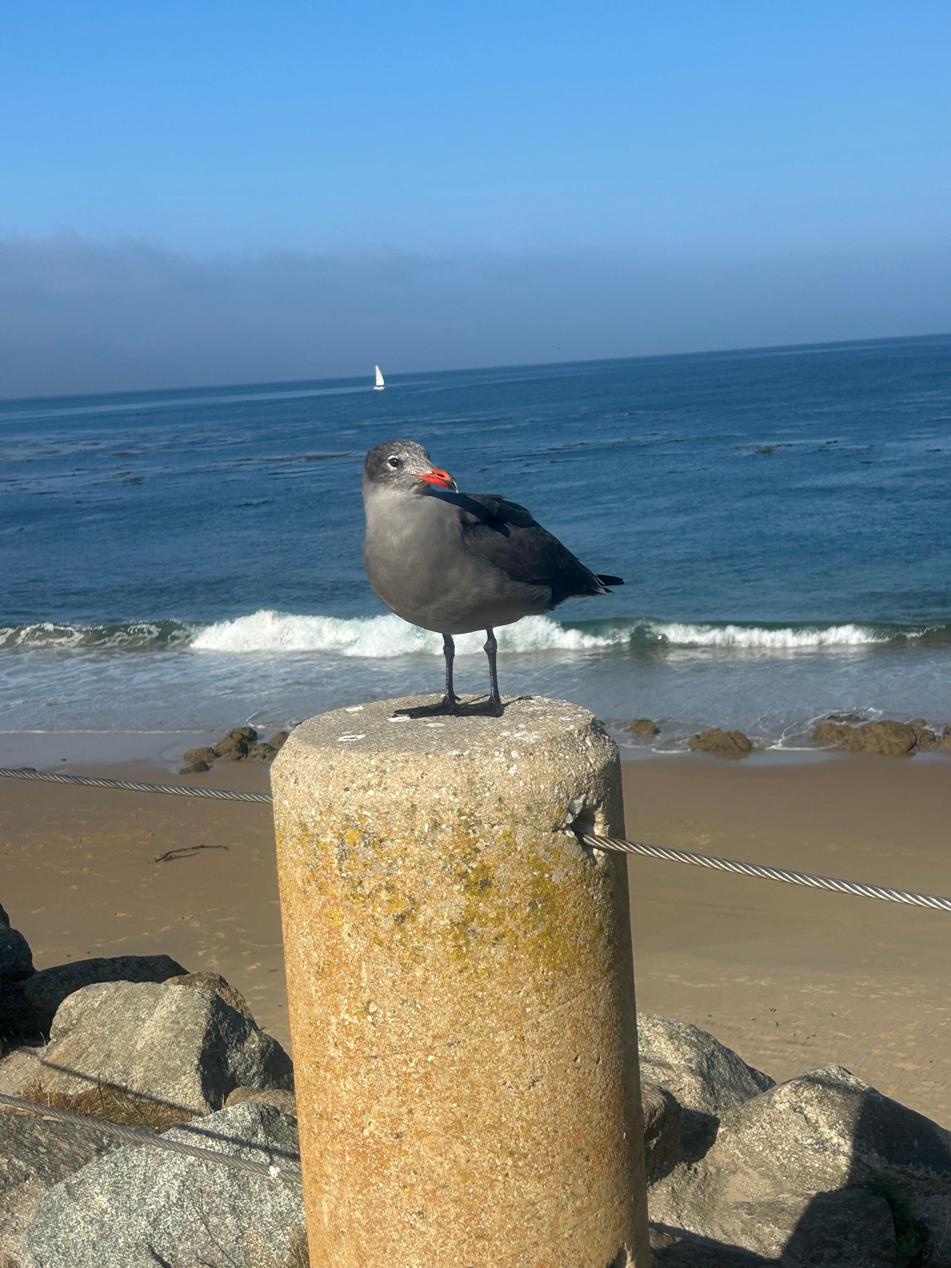 Posing for the picture 