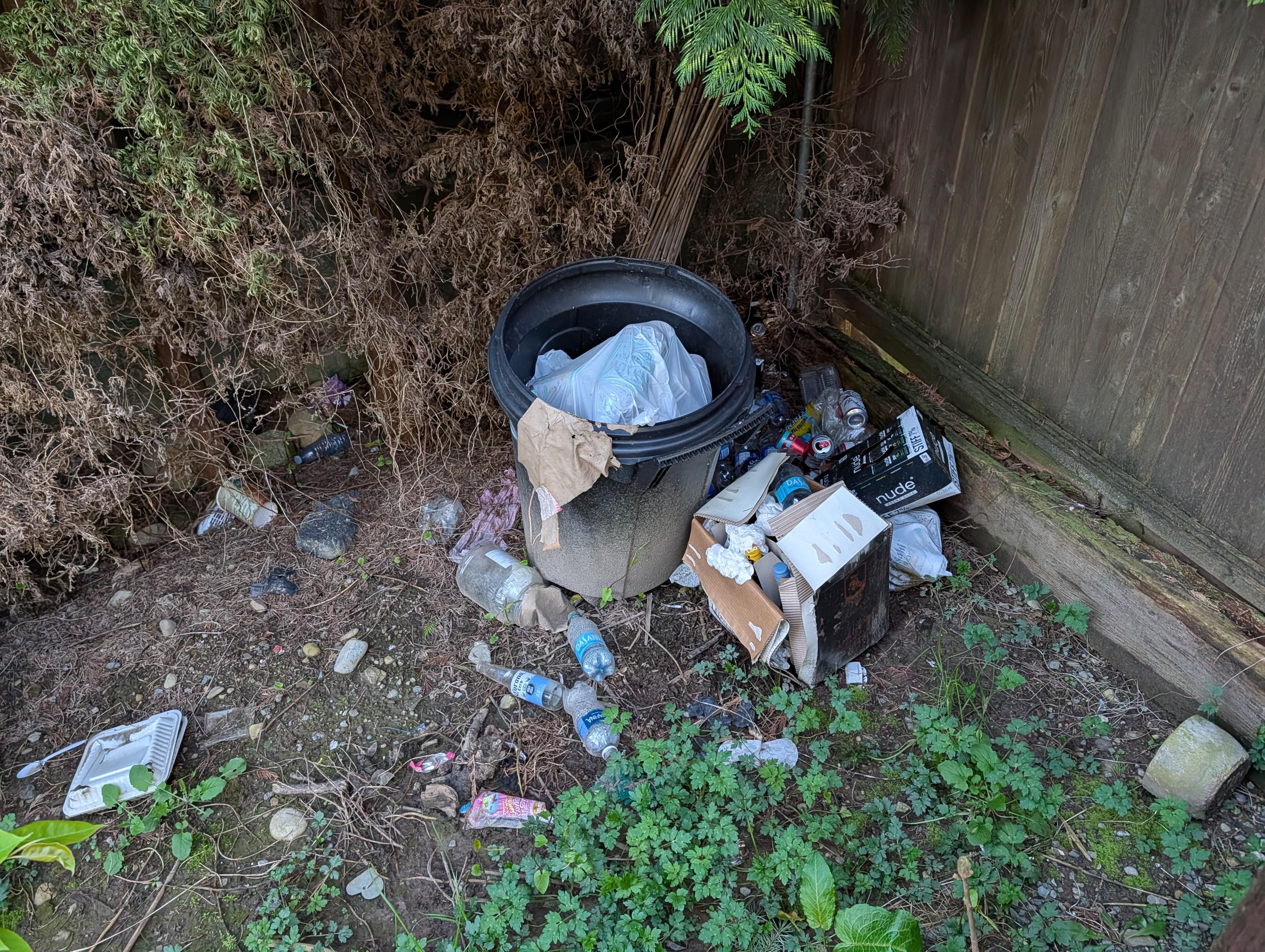 This was beside where we walk in to our suite and some in from driveway too. We are not supper picky but bit more tidy would be appreciated 