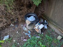 This was beside where we walk in to our suite and some in from driveway too. We are not supper picky but bit more tidy would be appreciated