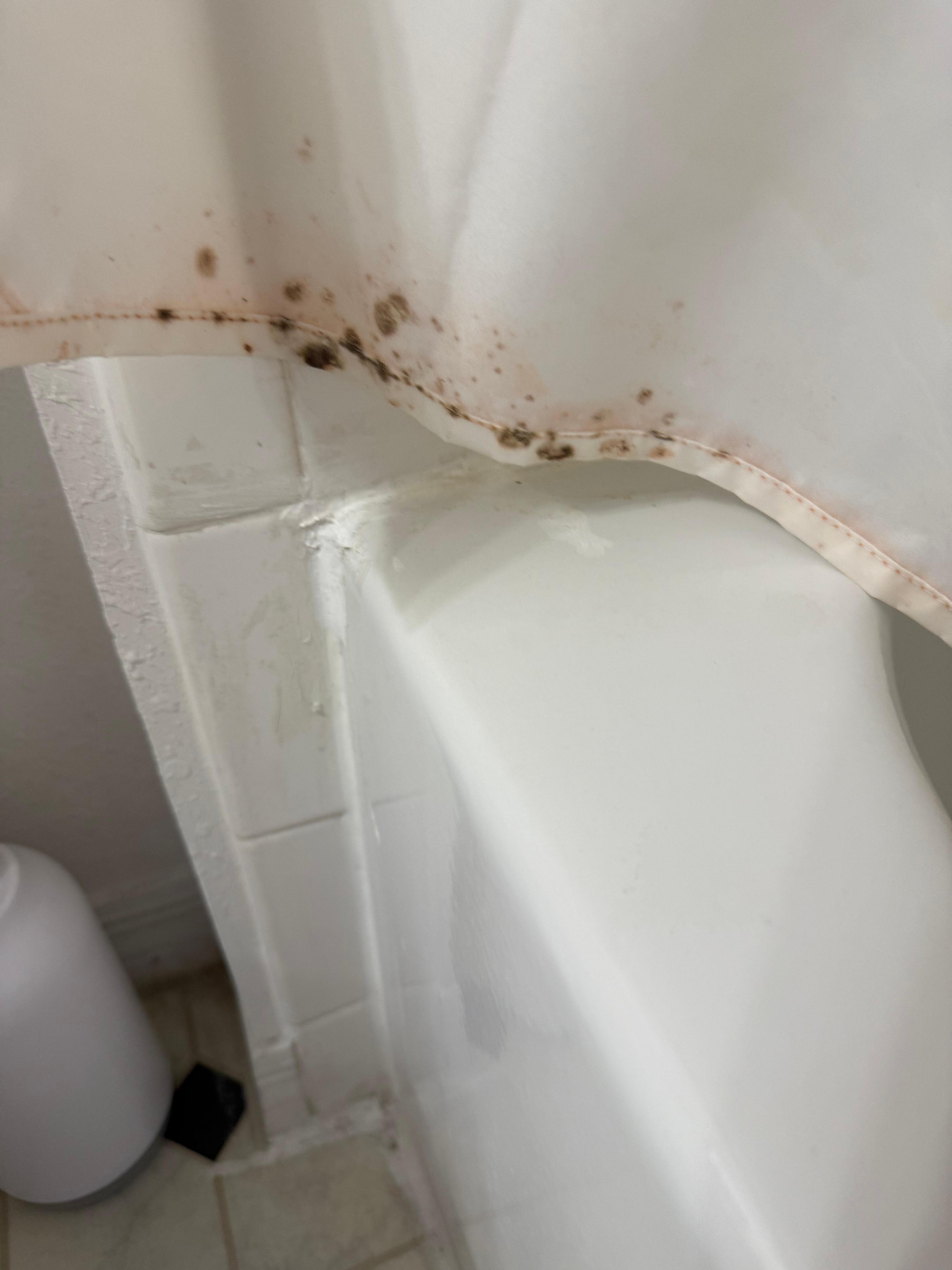 First place that was  offered to us: all the shower curtains have mold