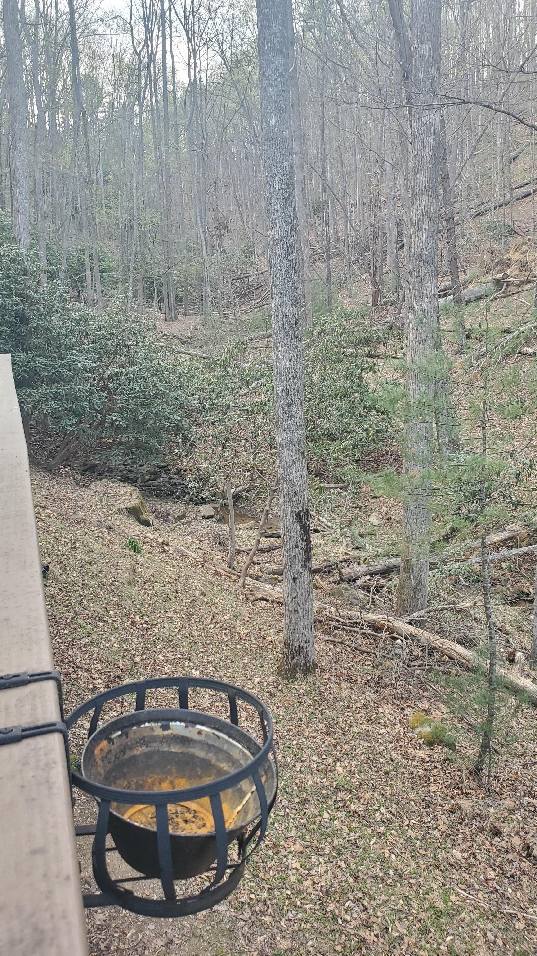 Little hiking path along the creek next to the house.  Goes all the way to one of the ponds.