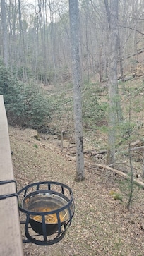 Little hiking path along the creek next to the house. Goes all the way to one of the ponds.