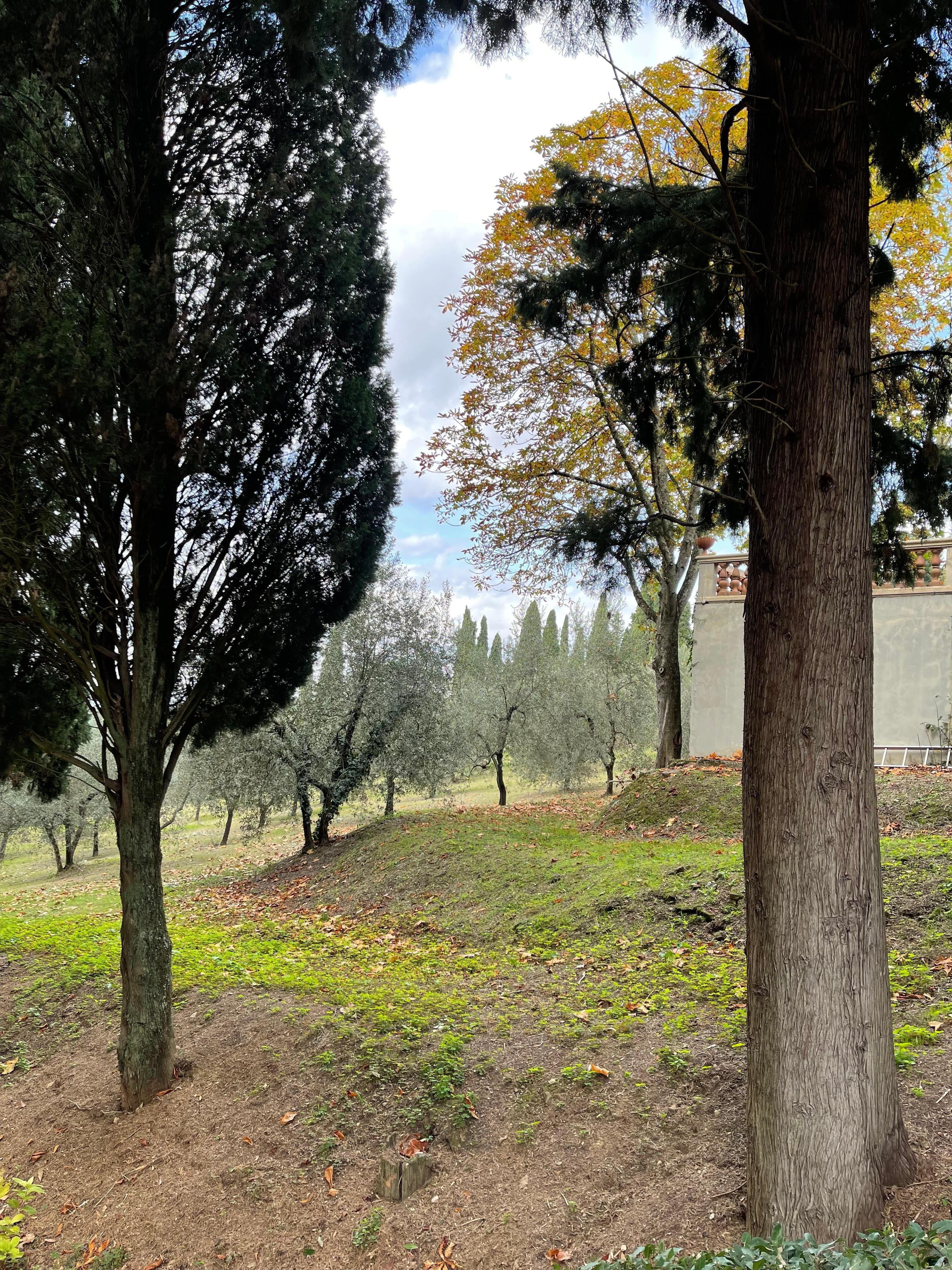 The garden is a beautiful place to walk