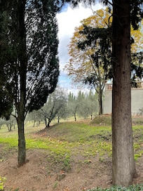 The garden is a beautiful place to walk