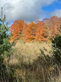 Gorgeous fall colors on the peninsula.