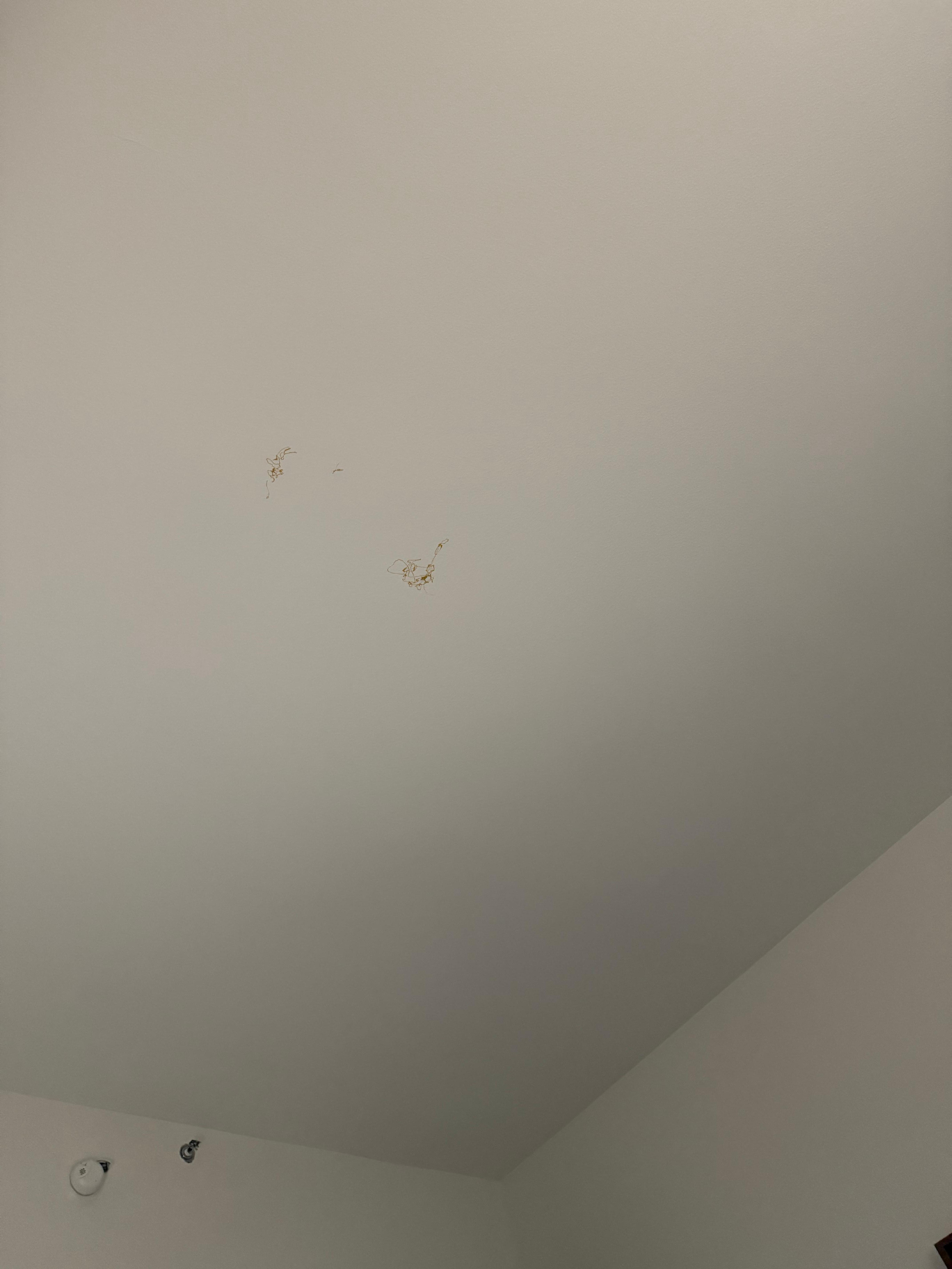Red/orange things on ceiling
