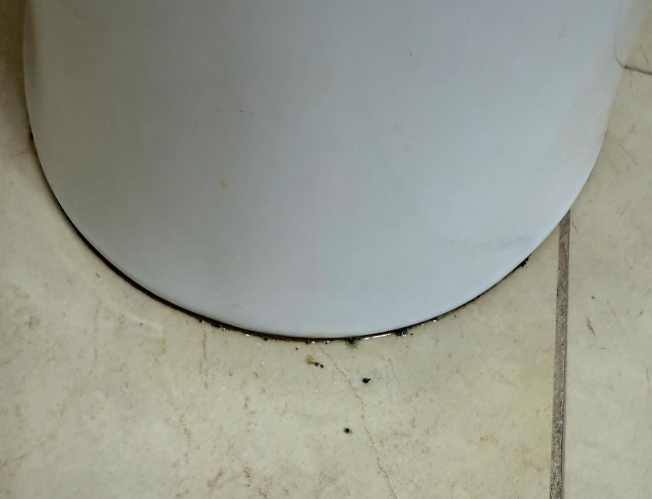 Nasty how I walked in