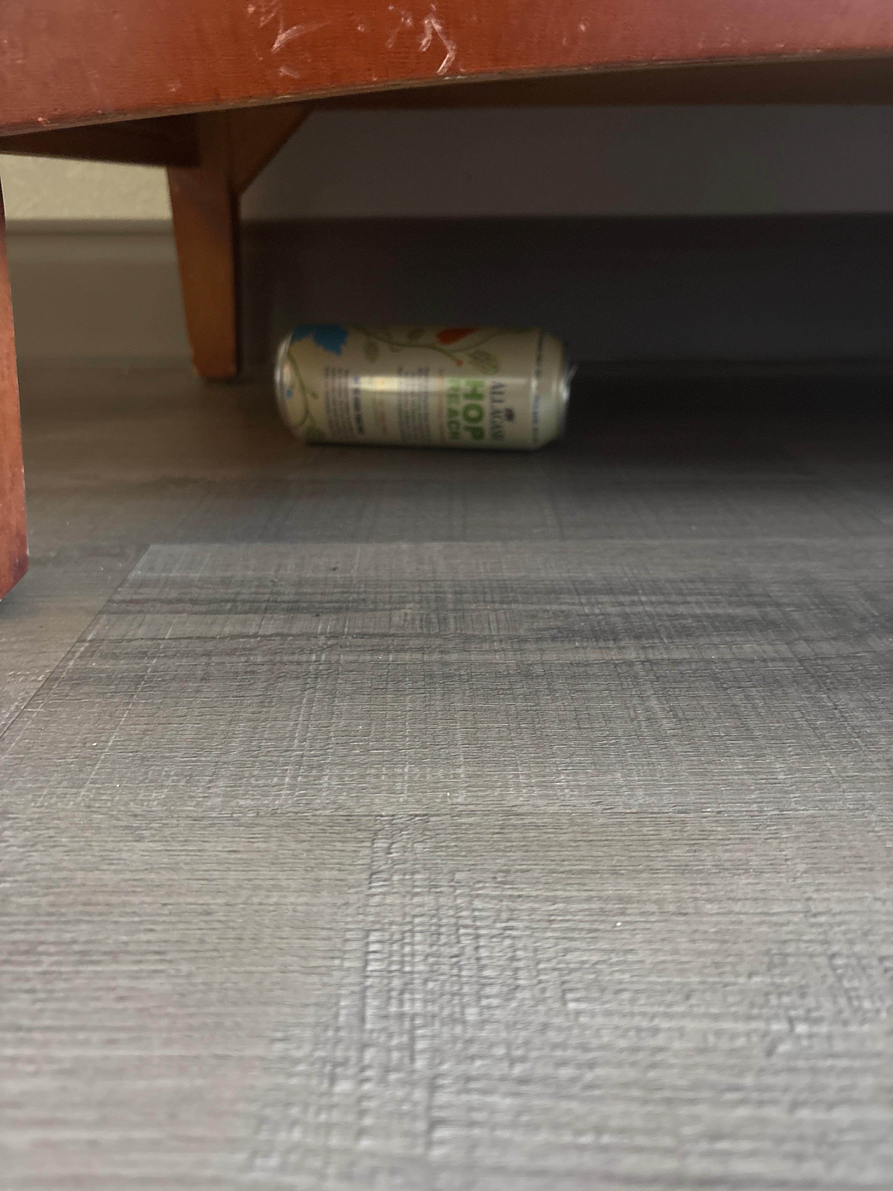 trash under furniture 