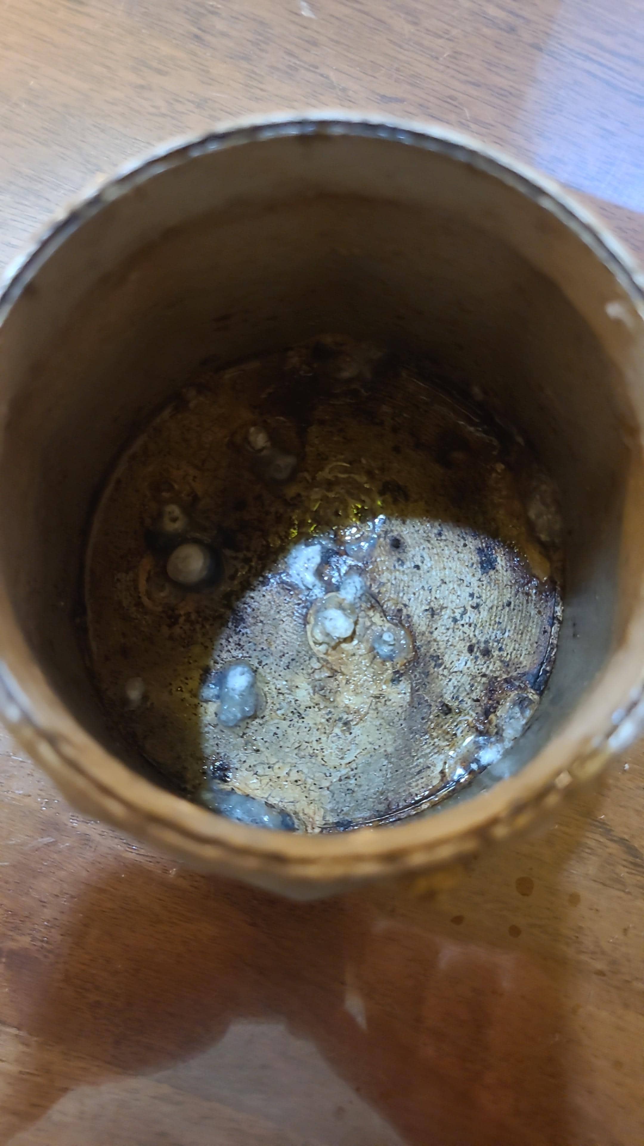Mouldy coffee maker