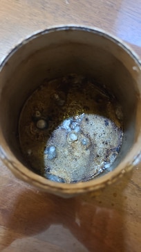 Mouldy coffee maker