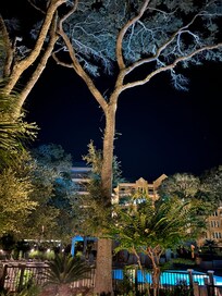 The grounds are beautiful at night!