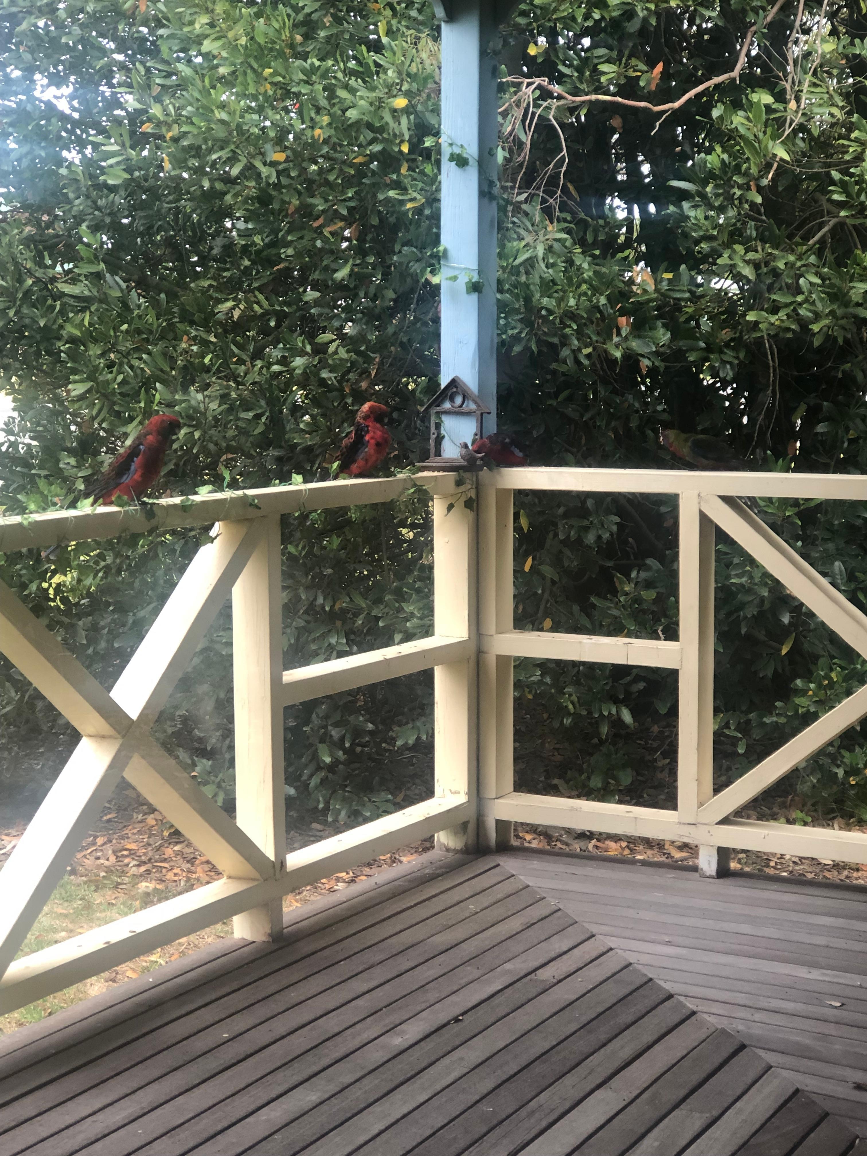 Good to meet the locals